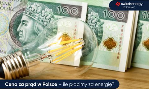 Cena prądu w Polsce – ile płacimy za energię?