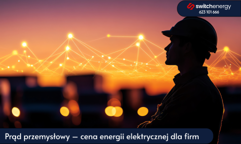 Prąd przemysłowy – cena energii elektrycznej dla firm