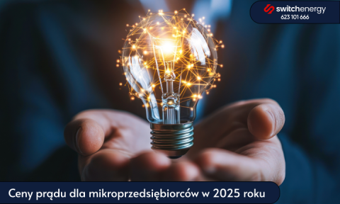 Ceny prądu dla mikroprzedsiębiorców w 2025 roku – co musisz wiedzieć?