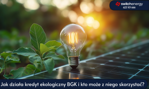 Jak działa kredyt ekologiczny BGK i kto może z niego skorzystać?