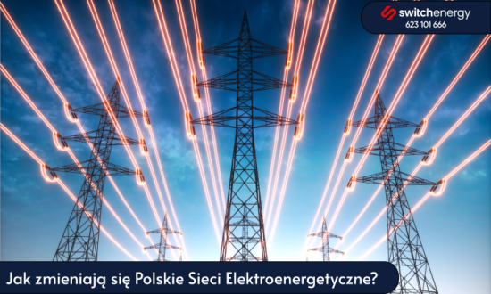 Jak zmieniają się Polskie Sieci Elektroenergetyczne?