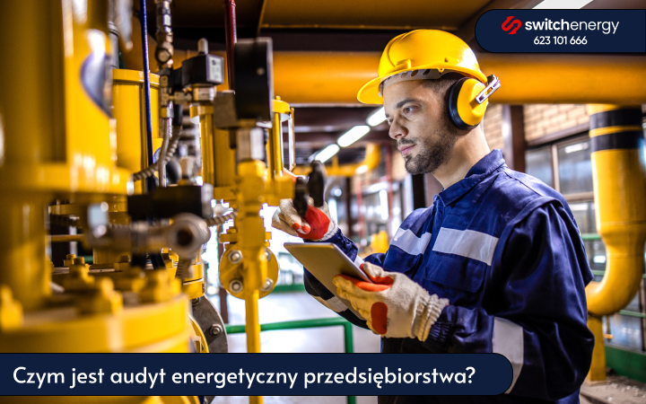 audyt energetyczny przedsiębiorstwa