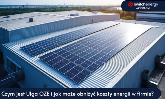 Czym jest Ulga OZE i jak może obniżyć koszty energii w firmie?
