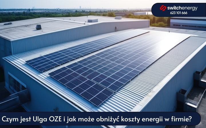 Czym jest Ulga OZE i jak może obniżyć koszty energii w firmie?