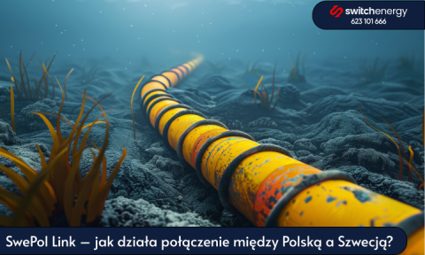 SwePol Link – jak działa połączenie między Polską a Szwecją?