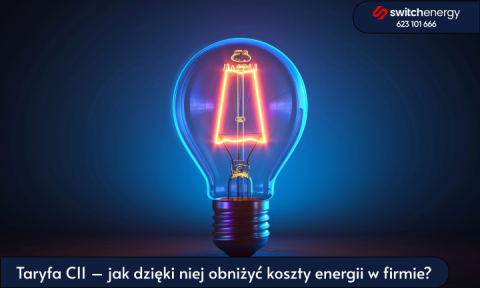 Taryfa C11 – jak dzięki niej obniżyć koszty energii w firmie?