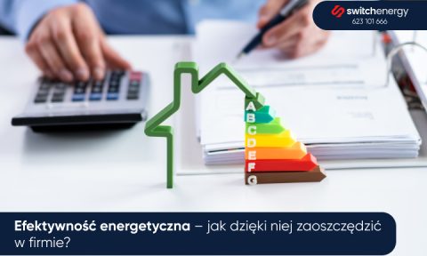 Efektywność energetyczna – jak dzięki niej zaoszczędzić w firmie?