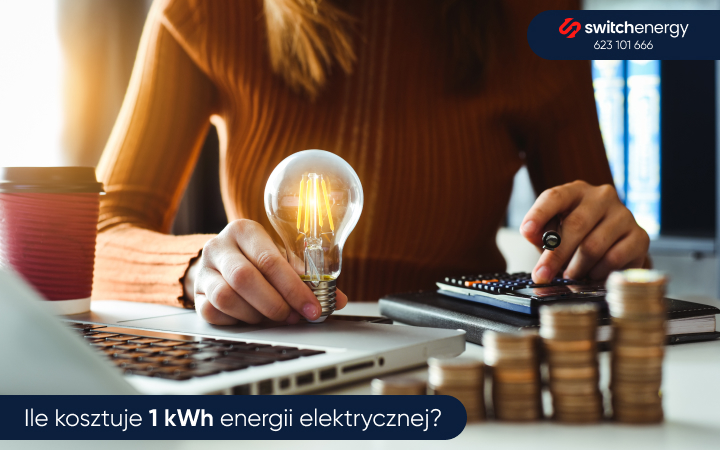 Ile kosztuje 1 kWh energii elektrycznej?